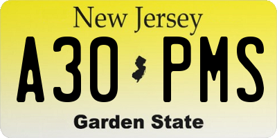 NJ license plate A30PMS