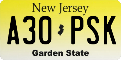 NJ license plate A30PSK