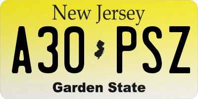 NJ license plate A30PSZ