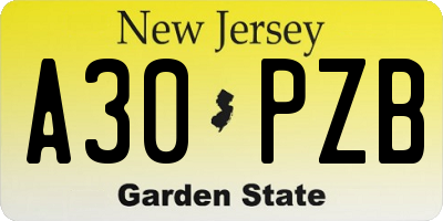 NJ license plate A30PZB