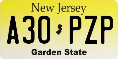 NJ license plate A30PZP