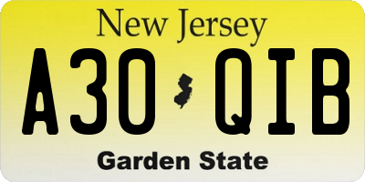 NJ license plate A30QIB