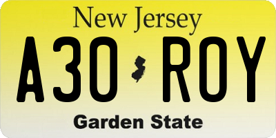 NJ license plate A30ROY