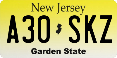NJ license plate A30SKZ