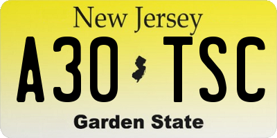NJ license plate A30TSC
