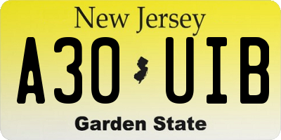 NJ license plate A30UIB