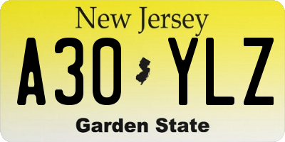 NJ license plate A30YLZ