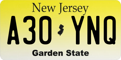 NJ license plate A30YNQ