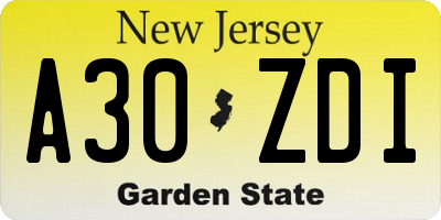 NJ license plate A30ZDI