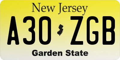 NJ license plate A30ZGB