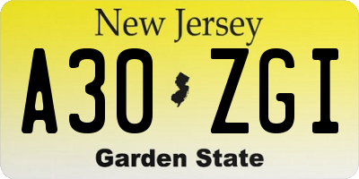 NJ license plate A30ZGI