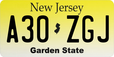 NJ license plate A30ZGJ