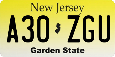 NJ license plate A30ZGU