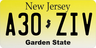 NJ license plate A30ZIV