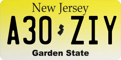 NJ license plate A30ZIY