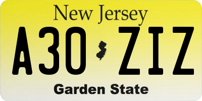 NJ license plate A30ZIZ