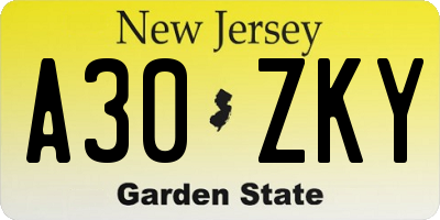NJ license plate A30ZKY