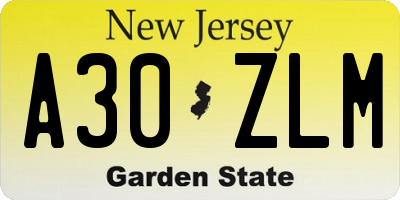 NJ license plate A30ZLM