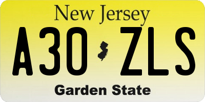 NJ license plate A30ZLS