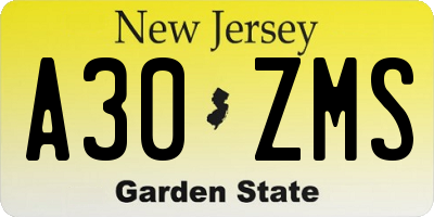 NJ license plate A30ZMS