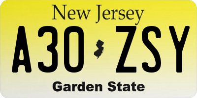 NJ license plate A30ZSY