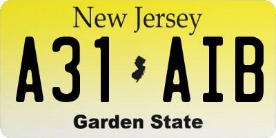 NJ license plate A31AIB