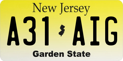 NJ license plate A31AIG
