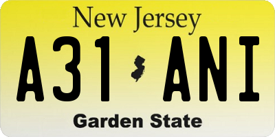 NJ license plate A31ANI