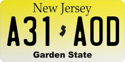 NJ license plate A31AOD