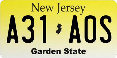 NJ license plate A31AOS