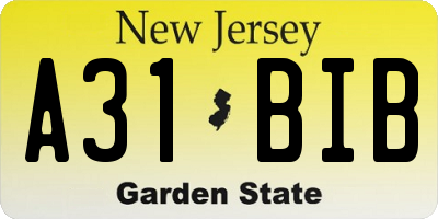 NJ license plate A31BIB