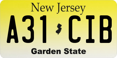 NJ license plate A31CIB