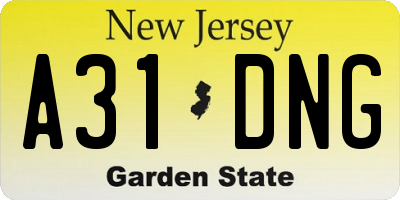 NJ license plate A31DNG