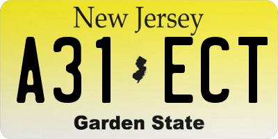 NJ license plate A31ECT