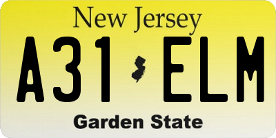 NJ license plate A31ELM