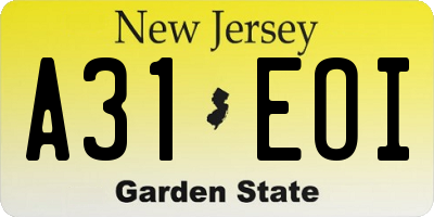 NJ license plate A31EOI