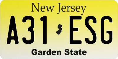 NJ license plate A31ESG