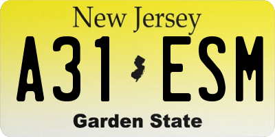 NJ license plate A31ESM