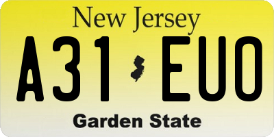 NJ license plate A31EUO