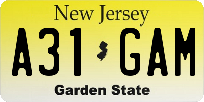 NJ license plate A31GAM
