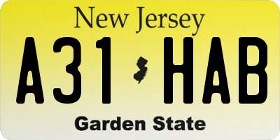NJ license plate A31HAB