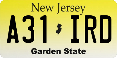 NJ license plate A31IRD