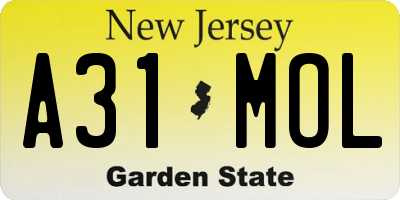 NJ license plate A31MOL