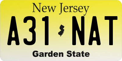 NJ license plate A31NAT
