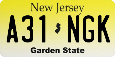 NJ license plate A31NGK