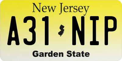 NJ license plate A31NIP