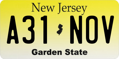 NJ license plate A31NOV