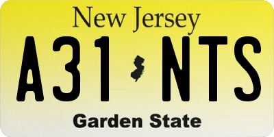 NJ license plate A31NTS