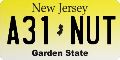 NJ license plate A31NUT