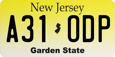 NJ license plate A31ODP